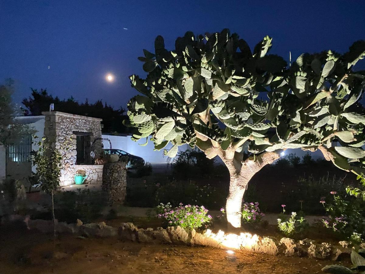 B&B Fellini غالّيبولي المظهر الخارجي الصورة